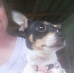 Meet your Posher, Patricia